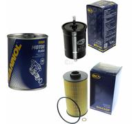 Original SCT Controllo Set Filtro + Flush Motore Motorspülung 11585403