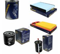 Original SCT Controllo Set Filtro + Flush Motore Motorspülung 11595967