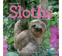 Original Sloths 2024 Calendar: The Ultimate Experts at Slowing Down