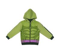 Original Sudadera con Capucha Cotton Brushed Avengers Hulk