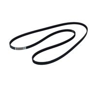 Originale Bauknecht Whirlpool Cinghia Scanalata Cinghia 1207 Pj 4E Waschmaschine