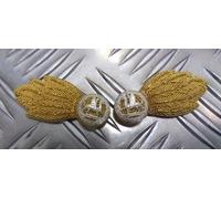 Originale British Army Problema Reale Gallese Reggimento No1 Mess Collare Stemmi