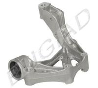 Originale BUGIAD Supporto Deposito Della Crociera BSP20325 per Seat Skoda VW