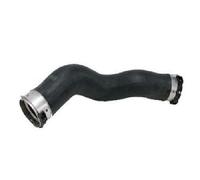 Originale BUGIAD Tubo di Aspirazione 81685 per BMW