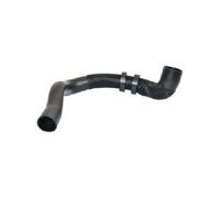 Bugiad 88807 Tubo di Aspirazione per Land Rover Discovery Sport Range Evoque