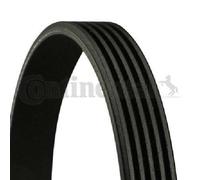 Originale CONTINENTAL CTAM Cinghia Scanalata 5PK1035 per Ford