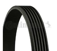 CONTITECH 6PK1029 ELAST Cinghia servizi per FORD MONDEO IV (BA7) B-MAX (JK)