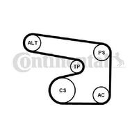Originale CONTINENTAL CTAM Set Cinghia Scanalata 6PK1900K1 per Daewoo Opel