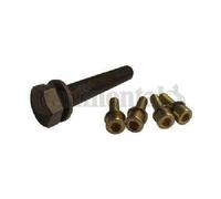 Originale CONTINENTAL CTAM Set di Viti Riemenscheibe-Kurbelwelle MS10 per Audi