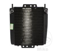Originale del refrigeratore d'acqua per Piaggio MP3 350 2018 # MP3 500 2017-2018