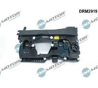 Originale Dr.Motor Automotive Copertura Testata DRM2919 Per BMW