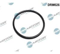 Originale Dr. Motor Automotive Guarnizione Corpo Farfallato DRM026 per Dacia