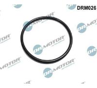 Guarnizione valvola a farfalla Lato scarico DRM026 Dr.Motor Automotive per DACIA