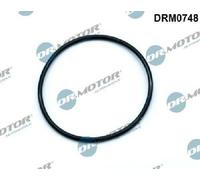 Originale Dr. Motor Automotive Guarnizione Pompa sotto Pressione DRM0748 per BMW