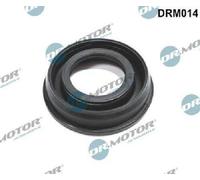 Originale Dr. Motor Automotive Guarnizione Supporto Ugelli DRM014 per Citroën