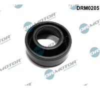 Originale Dr. Motor Automotive Guarnizione Supporto Ugelli DRM0205 per