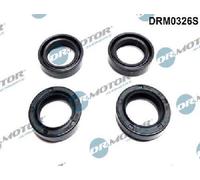Originale Dr. Motor Automotive Guarnizione Supporto Ugelli DRM0326S per Hyundai
