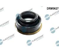 Originale Dr. Motor Automotive Guarnizione Supporto Ugelli DRM0627 per Audi VW