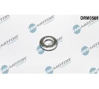 Originale Dr. Motor Automotive Guarnizione Valvola Iniezione DRM0569 per Ford