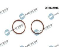 Originale Dr. Motor Automotive Guarnizioni Collettore Aspirazione DRM0259S per
