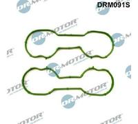 Originale Dr. Motor Automotive Guarnizioni Collettore di Aspirazione DRM091S per
