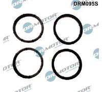 Originale Dr. Motor Automotive Guarnizioni Collettore di Aspirazione DRM095S per