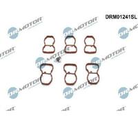 Originale Dr. Motor Automotive Riparazione Modulo Collettore Aspirazione