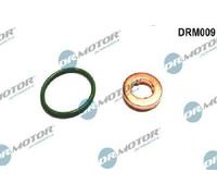 Originale Dr. Motor Automotive Set Guarnizioni Iniettore DRM009 per Audi Seat