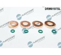 Originale Dr. Motor Automotive Set Guarnizioni Iniettore DRM0197SL per Citroën