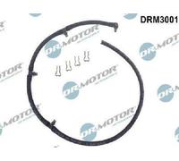 Originale Dr. Motor Automotive Tubo Leckkraftstoff DRM3001 per Chrysler