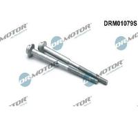 Originale Dr. Motor Automotive Vite Einspritzdüsenhalter DRM01079S per Audi