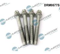 Dr.Motor Automotive Bullone, Supporto iniettore compatibile con CITROËN FORD