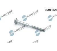 Originale Dr.Motor Automotive Vite Supporto Iniettori DRM01079 Per Audi
