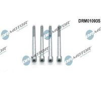 Originale Dr.Motor Automotive Vite Supporto Iniettori DRM01093S