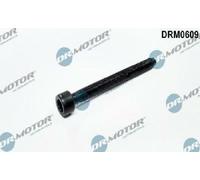 Originale Dr.Motor Automotive Vite Supporto Iniettori DRM0609 Per Audi