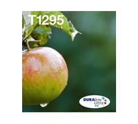 ORIGINALE EPSON Apple Multipack 4-Coloris T129 Easymail Nero, Ciano, Magenta, Giallo