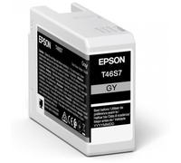 ORIGINALE Epson Cartuccia d'inchiostro Grigio C13T46S700 T46S7 25ml