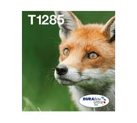 ORIGINALE EPSON Fox Multipack 4-Coloris T128 Easymail Nero, Ciano, Magenta, Giallo