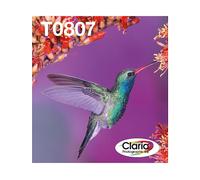 ORIGINALE EPSON Hummingbird Multipack 6 Colori T0807 Claria Photographic Ink Nero, Ciano, Ciano chiaro, Magenta chiaro, Magenta, Giallo