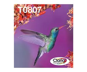 ORIGINALE EPSON Hummingbird Multipack 6 Colori T0807 Claria Photographic Ink Nero, Ciano, Ciano chiaro, Magenta chiaro, Magenta, Giallo