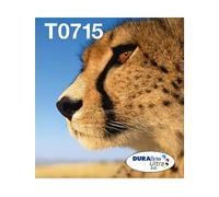 Epson Multipack 4-colours T071 EasyMail