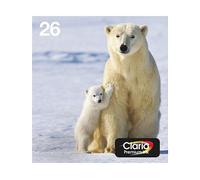 Originale Epson Expression Premium XP-610 Cartuccia stampante (26 / C 13 T 26164511) multicolor Multipack (4 pz.)