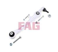 Originale FAG Supporto Sospensione Anteriore 821 0690 10 Per Audi