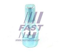 Perno perno bullone ruota Assale anteriore trattato con anticorrosivo Geomet