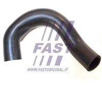 Originale FAST Tubo Dell'Olio FT61314 Per Ford