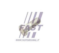 Originale FAST Viti per Ruote FT21533 per Iveco