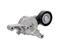 Originale Febi 28025 Tendicinghia Cinghia Trapezoidale Scanalata per Audi A3 8P1