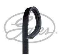 Gates Mitsubishi 3Pk881Sf