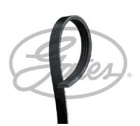 Originale GATES Cinghia Scanalata 4PK970SF per VW