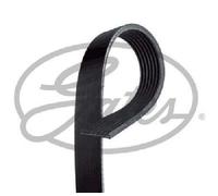 Originale GATES Cinghia Scanalata 7PK1710XS per Honda